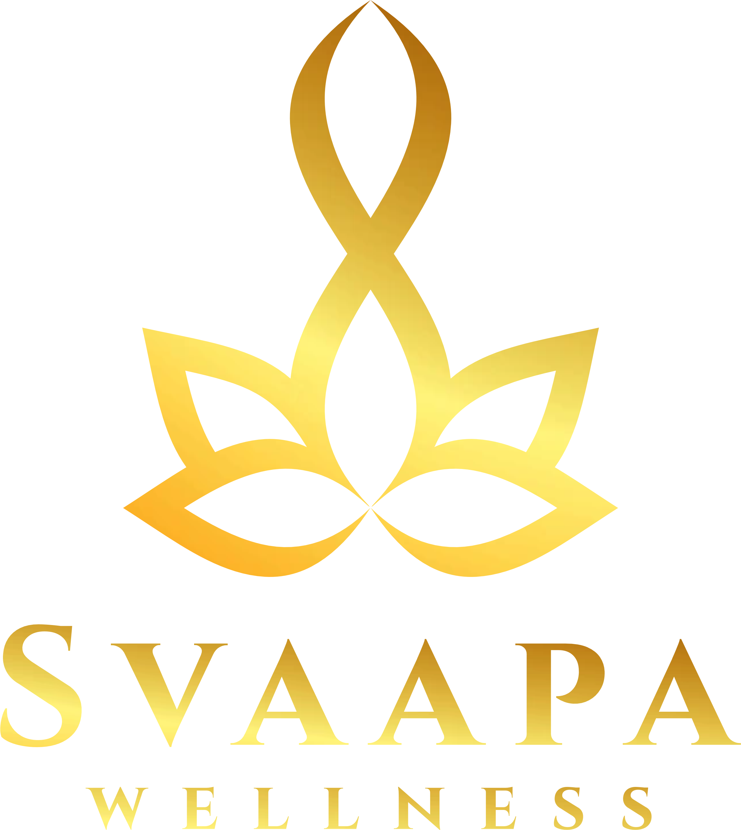 SVAAPA INTERNATIONAL SPA