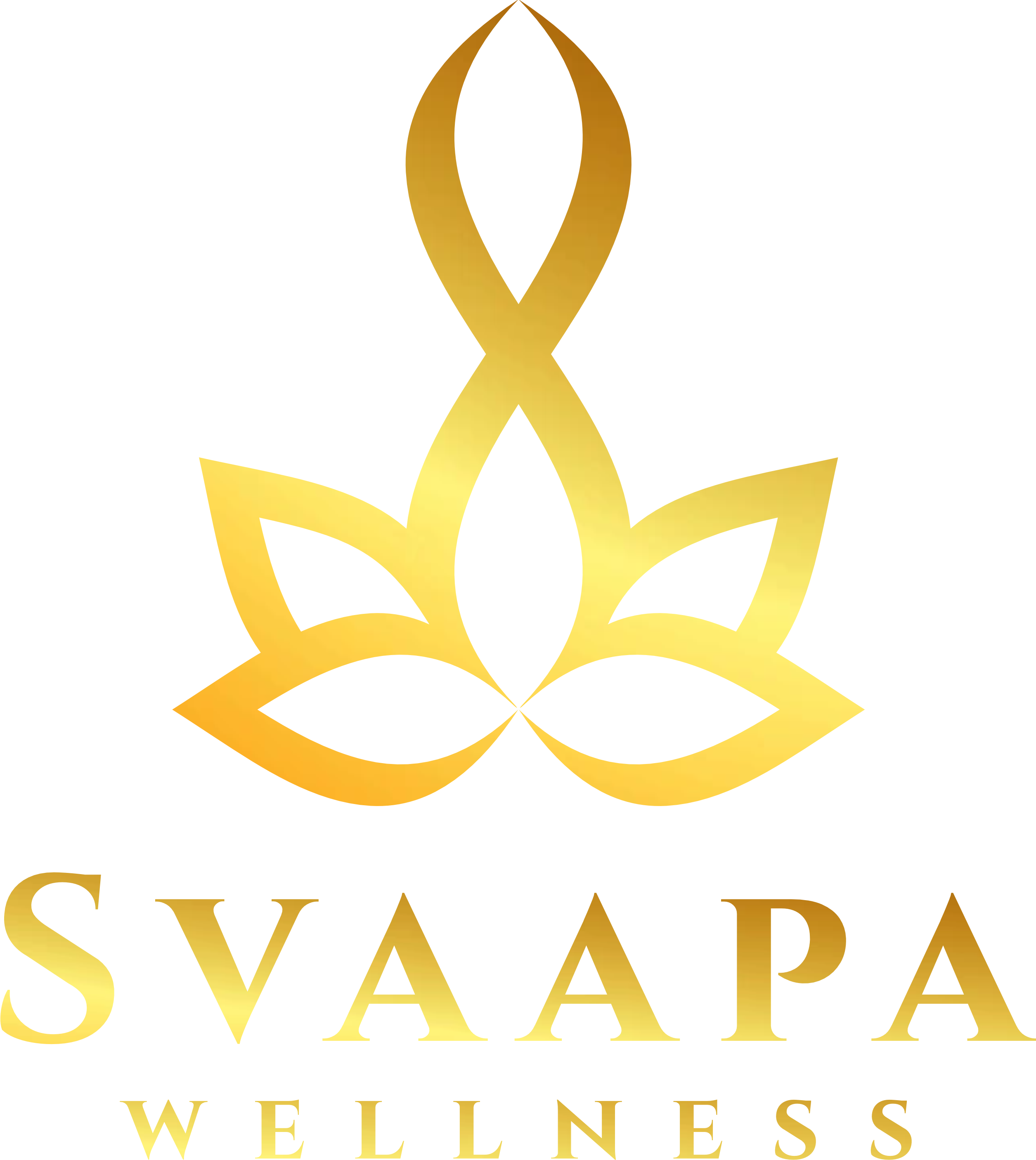 SVAAPA INTERNATIONAL SPA